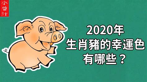 竹林居 2024年生肖豬
